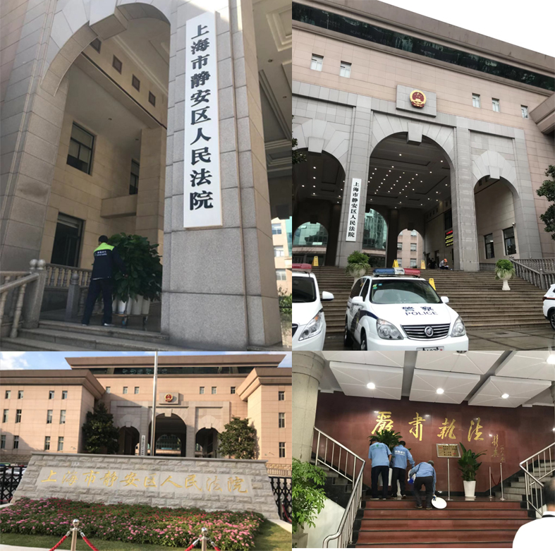 靜安法院院區室內外綠化項目-上海雅騰綠化有限公司