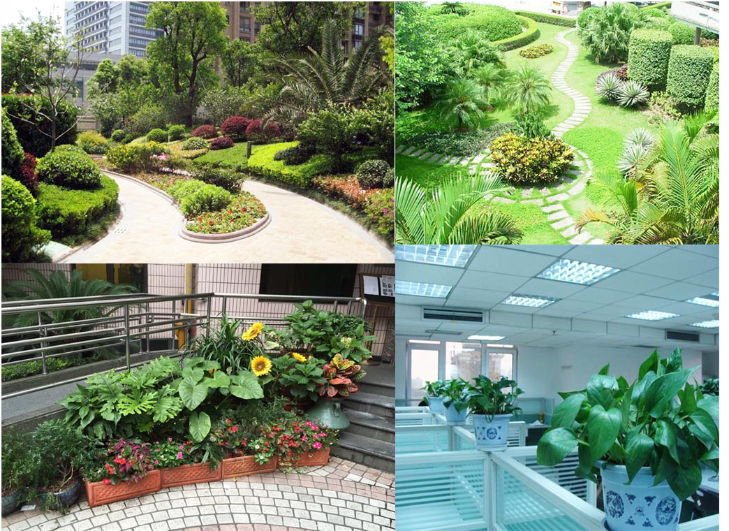 大唐集團園區植物墻項目-上海雅騰綠化有限公司